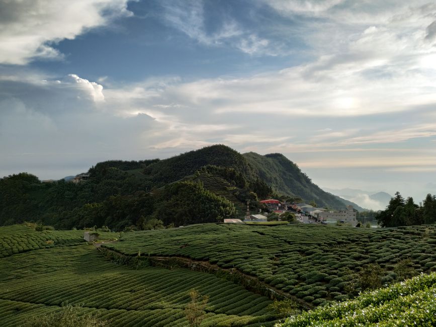 阿里山旅游住一晚看日出,森林铁路每天只一班直达