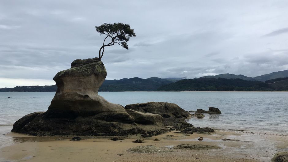 纳尔逊值得去两三天,看海滩逛酒庄最好自驾