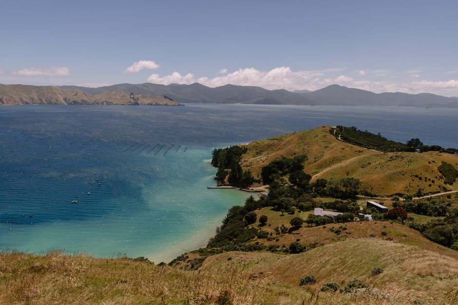 阿卡罗阿旅游重点是出海看赫氏海豚,基督城去住一晚