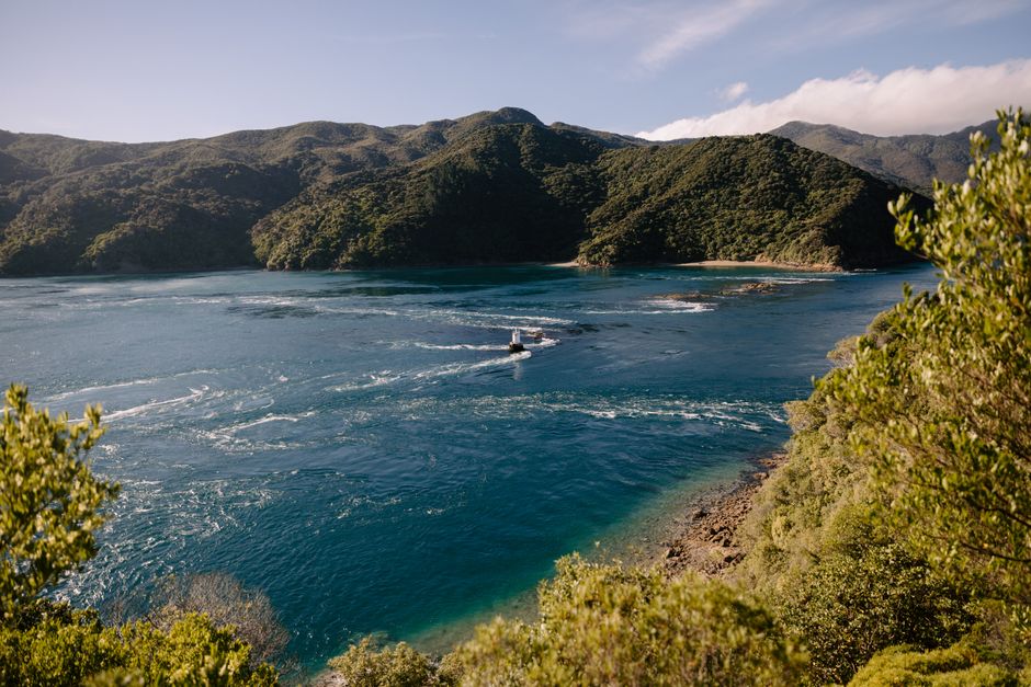 马尔堡峡湾各月天气,夏季旺而冬季静,哪个季节最适合出海