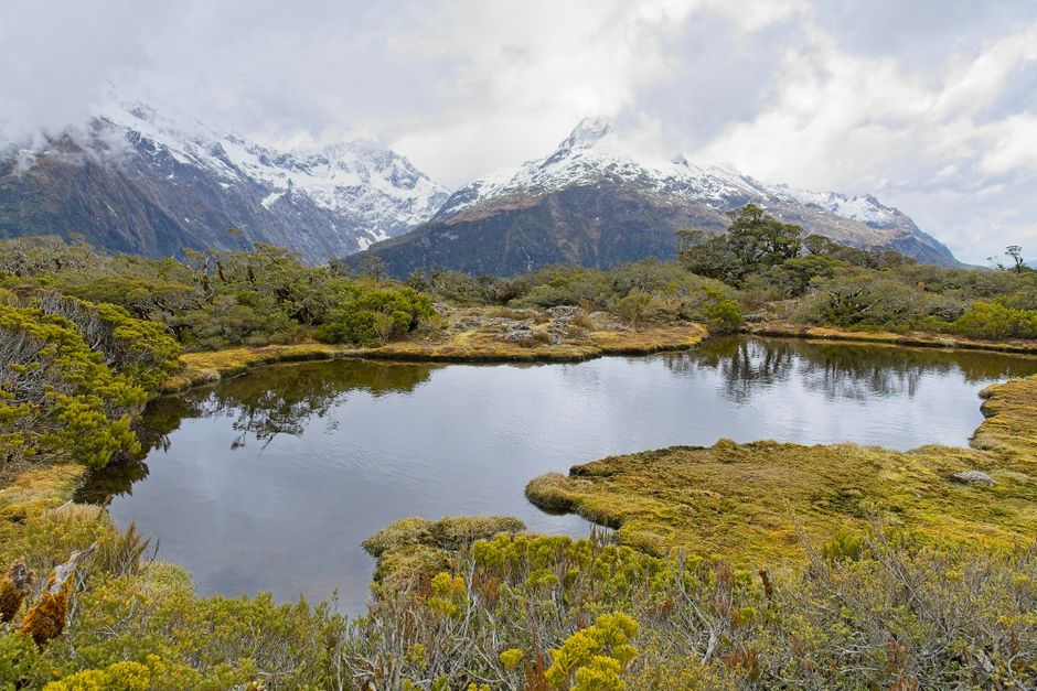 routeburn 步道交通:两端各在哪、班车自驾怎么配